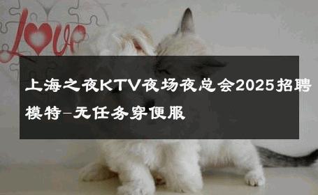 上海之夜KTV夜场夜总会2025招聘模特-无任务穿便服 