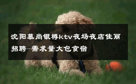 沈阳慕尚银樽ktv夜场夜店佳丽招聘-需求量大包食宿 