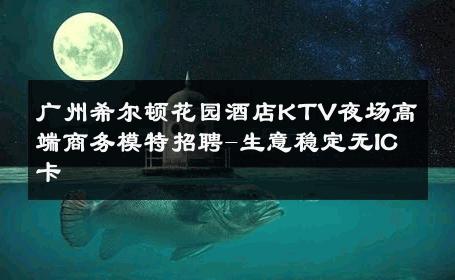 广州希尔顿花园酒店KTV夜场高端商务模特招聘-生意稳定无IC卡 