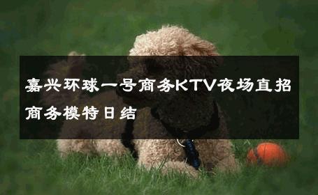 嘉兴环球一号商务KTV夜场直招商务模特日结 