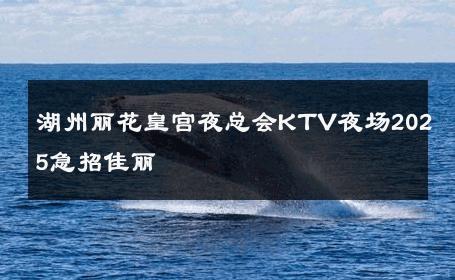 湖州丽花皇宫夜总会KTV夜场2025急招佳丽 