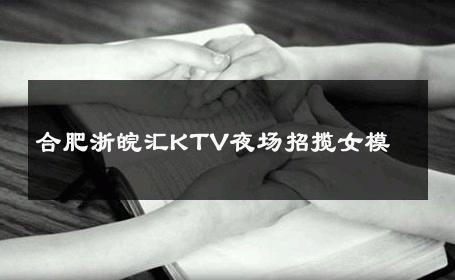 合肥浙皖汇KTV夜场招揽女模 