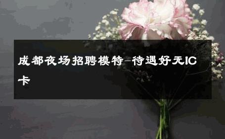 成都夜场招聘模特-待遇好无IC卡 