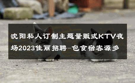 沈阳私人订制主题量贩式KTV夜场2023佳丽招聘-包食宿客源多 