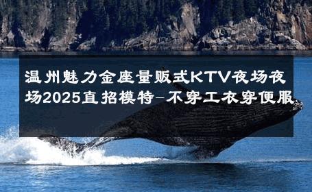 温州魅力金座量贩式KTV夜场夜场2025直招模特-不穿工衣穿便服 