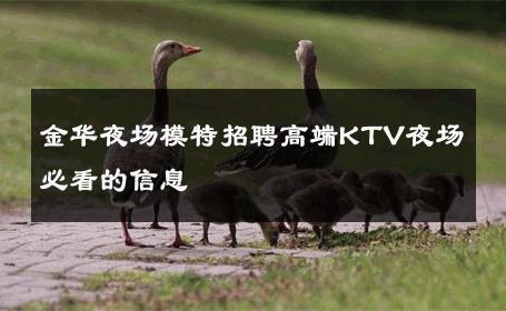 金华夜场模特招聘高端KTV夜场必看的信息 