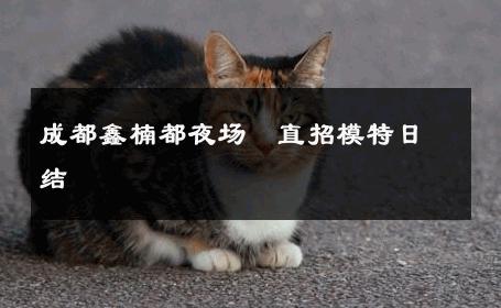 成都鑫楠都夜场　直招模特日结 