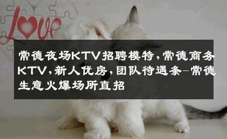 常德夜场KTV招聘模特,常德商务KTV,新人优房,团队待遇条-常德生意火爆场所直招