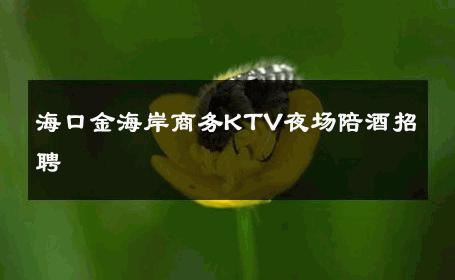 海口金海岸商务KTV夜场陪酒招聘 