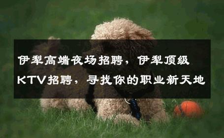 伊犁高端夜场招聘，伊犁顶级KTV招聘，寻找你的职业新天地