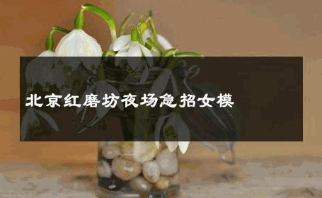 北京红磨坊夜场急招女模 