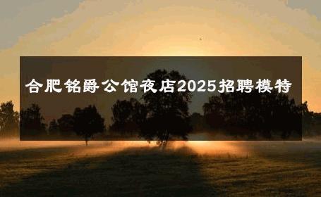 合肥铭爵公馆夜店2025招聘模特 
