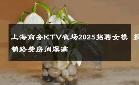 上海商务KTV夜场2025招聘女模-报销路费房间爆满 