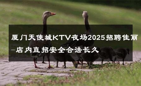 厦门天使城KTV夜场2025招聘佳丽-店内直招安全合法长久 