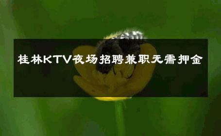 桂林KTV夜场招聘兼职无需押金 