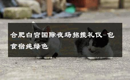 合肥白宫国际夜场招揽礼仪-包食宿纯绿色 