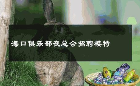 海口俱乐部夜总会招聘模特 