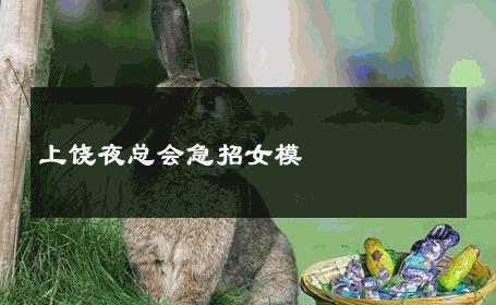 上饶夜总会急招女模 