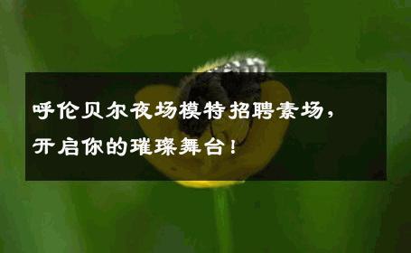 呼伦贝尔夜场模特招聘素场，开启你的璀璨舞台！