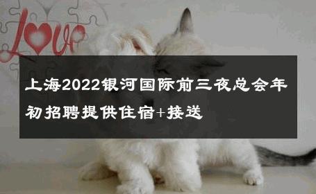 上海2022银河国际前三夜总会年初招聘提供住宿+接送 