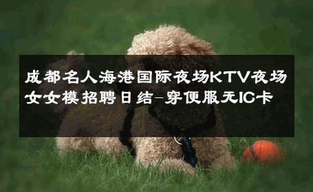 成都名人海港国际夜场KTV夜场女女模招聘日结-穿便服无IC卡 