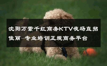 沈阳万紫千红商务KTV夜场直招佳丽-专业培训正规商务平台 