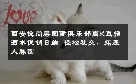 西安悦尚层国际俱乐部商K直招酒水促销日结-轻松社交，拓展人脉圈 