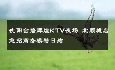 沈阳金碧辉煌KTV夜场 北顺城店急招商务模特日结 