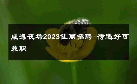 威海夜场2023佳丽招聘-待遇好可兼职 