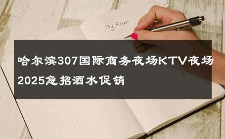 哈尔滨307国际商务夜场KTV夜场2025急招酒水促销 