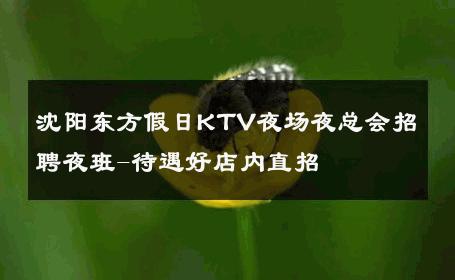 沈阳东方假日KTV夜场夜总会招聘夜班-待遇好店内直招 