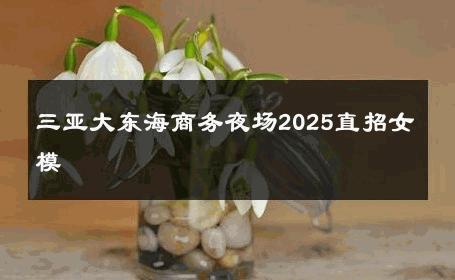 三亚大东海商务夜场2025直招女模 