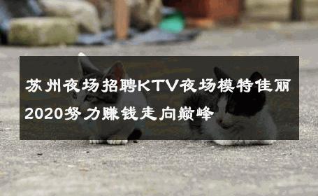 苏州夜场招聘KTV夜场模特佳丽2020努力赚钱走向巅峰 