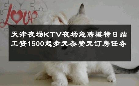 天津夜场KTV夜场急聘模特日结工资1500起步无杂费无订房任务 