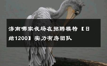 济南哪家夜场在招聘模特【日结1200】实力有房团队 