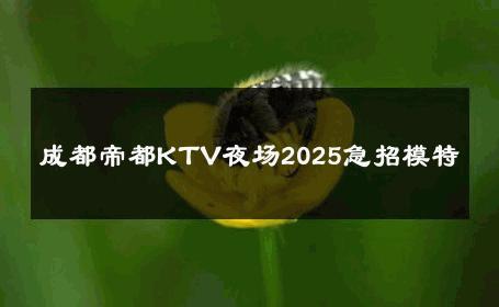 成都帝都KTV夜场2025急招模特 