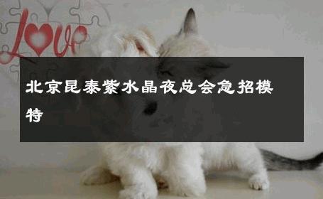 北京昆泰紫水晶夜总会急招模特 