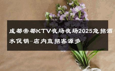 成都帝都KTV夜场夜场2025急招酒水促销-店内直招客源多 