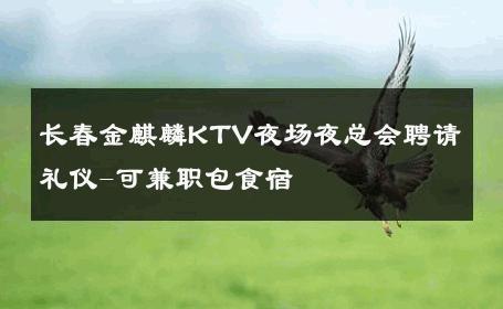 长春金麒麟KTV夜场夜总会聘请礼仪-可兼职包食宿 