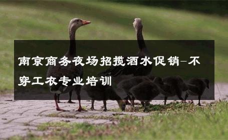 南京商务夜场招揽酒水促销-不穿工衣专业培训 