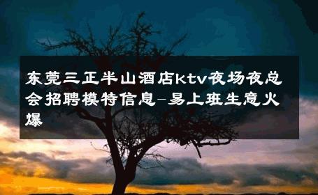 东莞三正半山酒店ktv夜场夜总会招聘模特信息-易上班生意火爆 