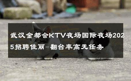 武汉金都会KTV夜场国际夜场2025招聘佳丽-翻台率高无任务 