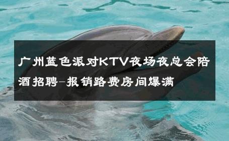 广州蓝色派对KTV夜场夜总会陪酒招聘-报销路费房间爆满 