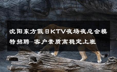 沈阳东方假日KTV夜场夜总会模特招聘-客户素质高稳定上班 