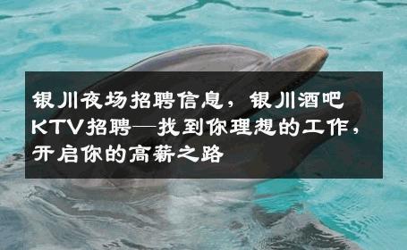 银川夜场招聘信息，银川酒吧KTV招聘—找到你理想的工作，开启你的高薪之路