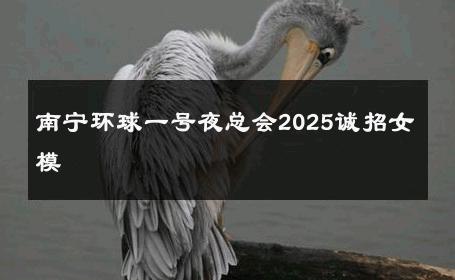 南宁环球一号夜总会2025诚招女模 