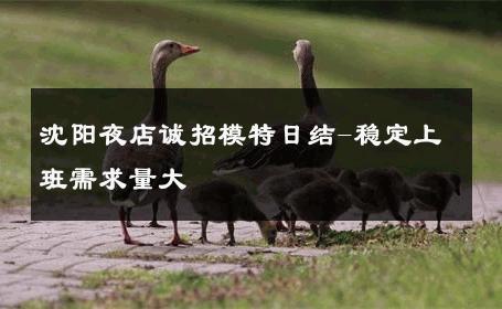 沈阳夜店诚招模特日结-稳定上班需求量大 