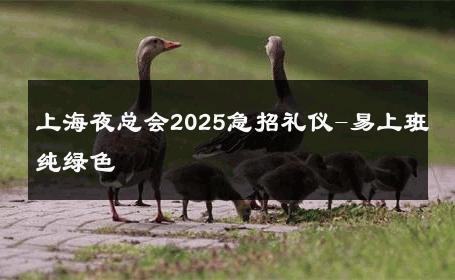 上海夜总会2025急招礼仪-易上班纯绿色 
