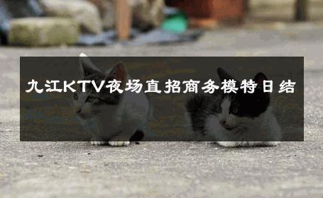 九江KTV夜场直招商务模特日结 
