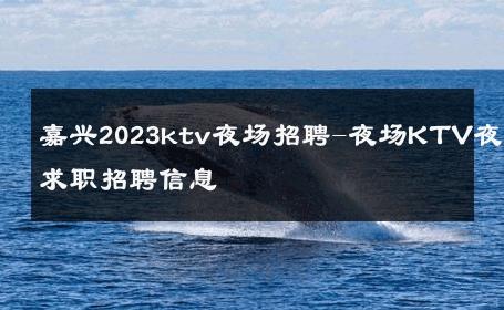 嘉兴2023ktv夜场招聘-夜场KTV夜场求职招聘信息 